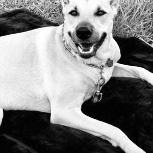 Meet your Posher, Matt